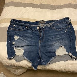 Torrid size 26 distressed shorts